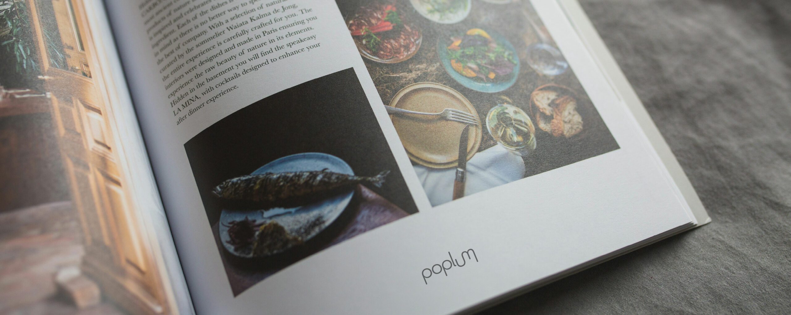 Édition : brochure et catalogue réalisés par graphiste en Seine-et-Marne